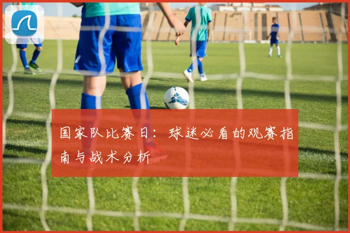 国家队比赛日：球迷必看的观赛指南与战术分析