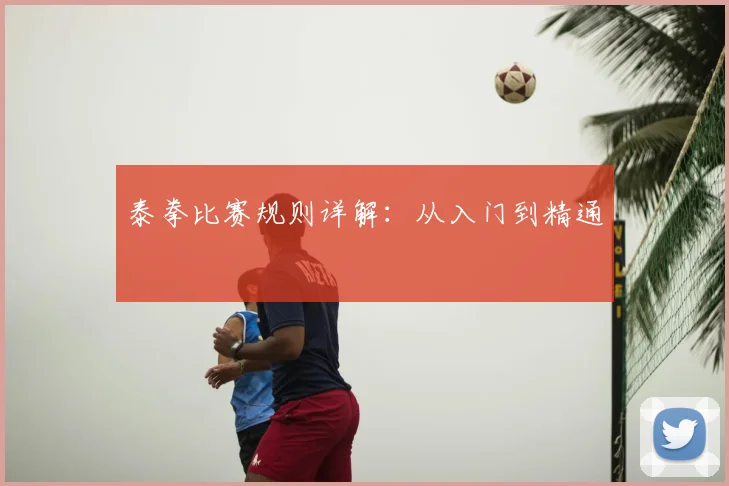 泰拳比赛规则详解：从入门到精通